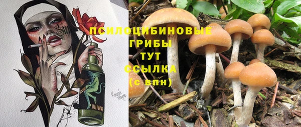 кокаин Алексеевка