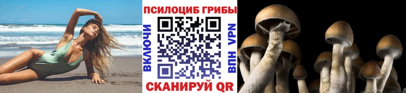 Галлюциногенные грибы Psilocybine cubensis  купить наркоту  Арамиль 